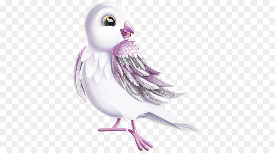 Oiseau Rose，Plumes PNG