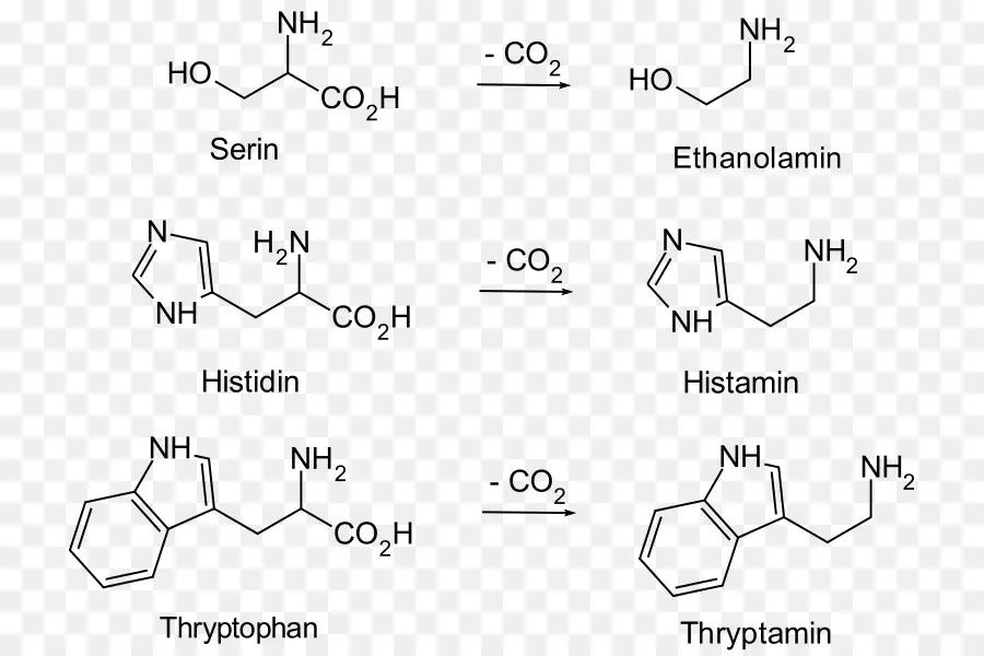 Structures Chimiques，Chimie PNG