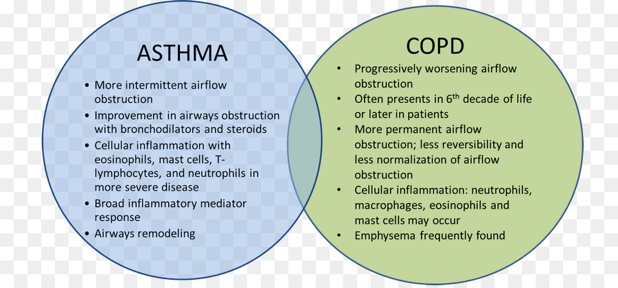 La Maladie Pulmonaire Obstructive Chronique，L Asthme PNG