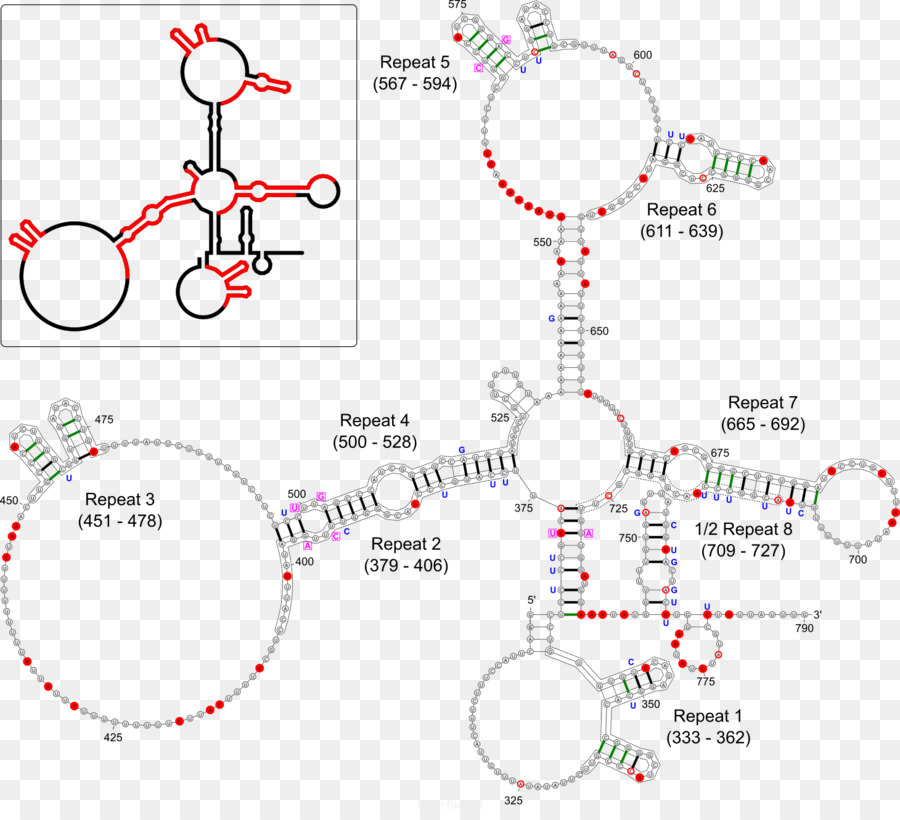 Frapper，Xinactivation PNG