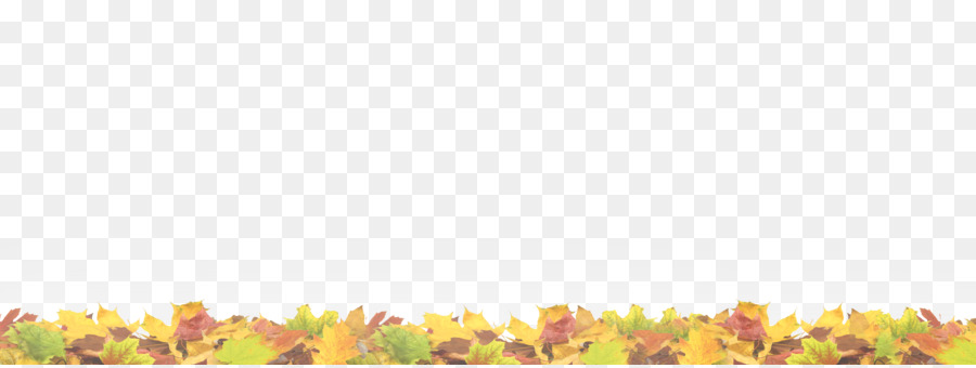 Feuilles D'automne，Coloré PNG