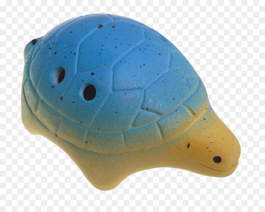 Tortue，Tortue De Mer PNG