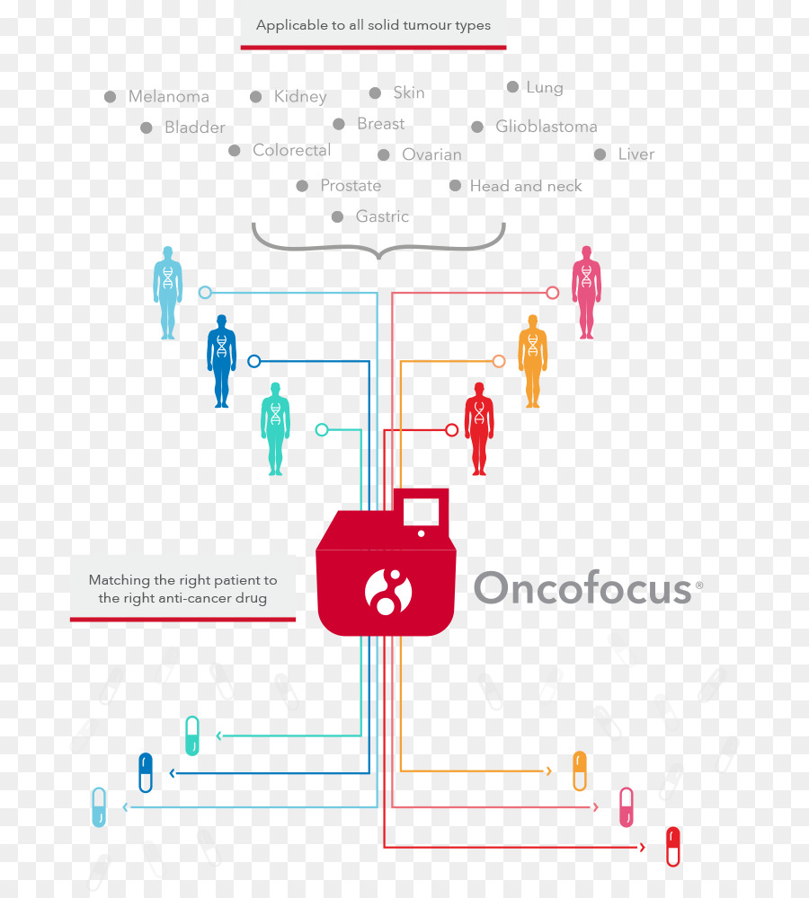 Oncologie，La Thérapie PNG