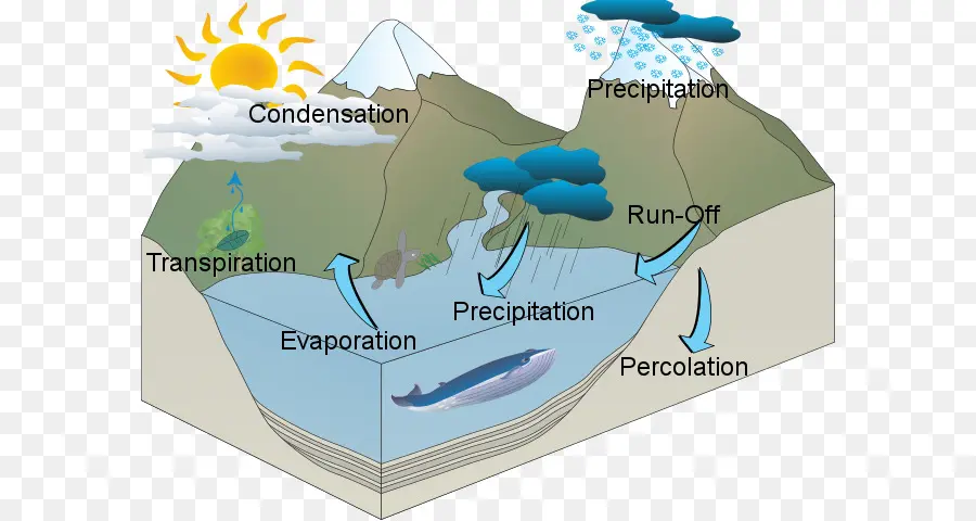 Les Ressources En Eau，Cycle De L Eau PNG