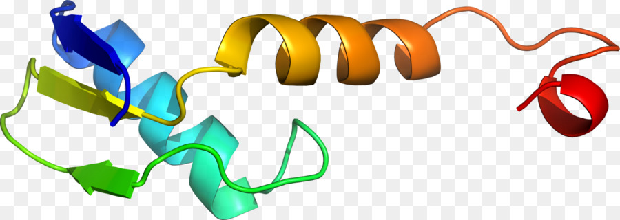 Hélice Protéique，Molécule PNG