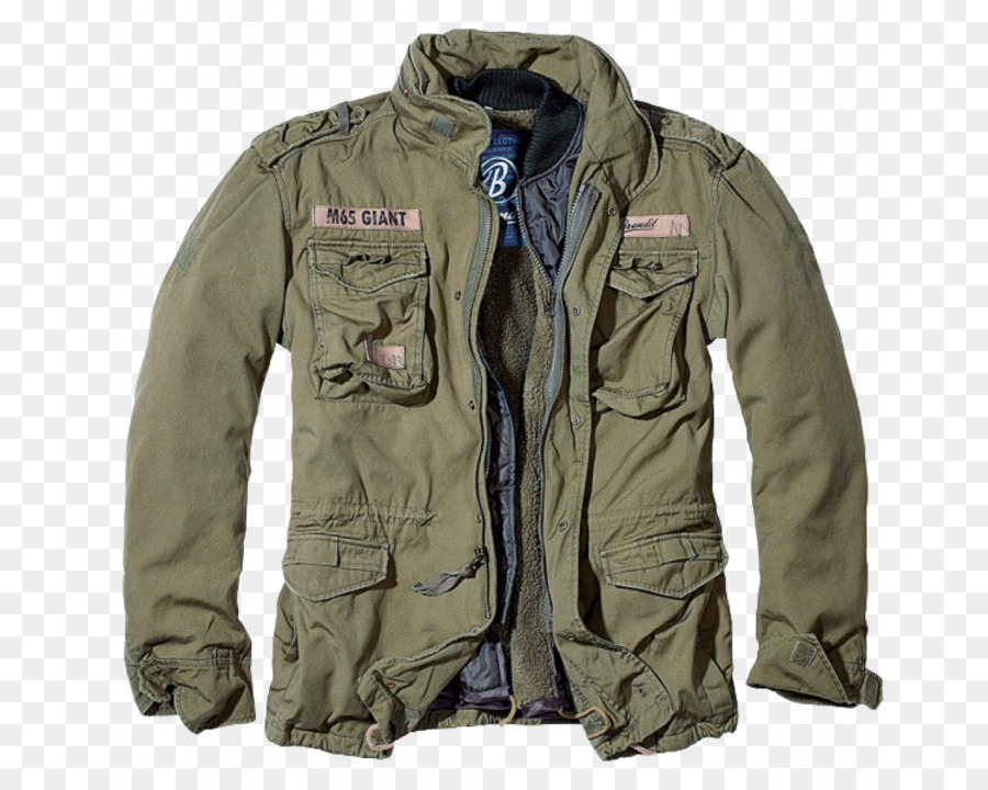 Veste，Vert PNG