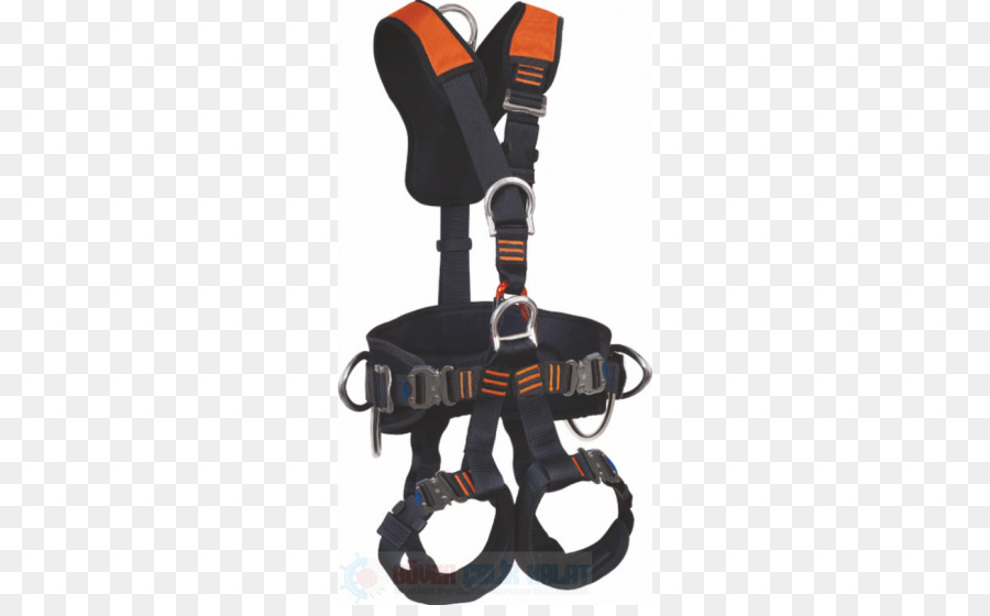 Ceinture，Sécurité PNG