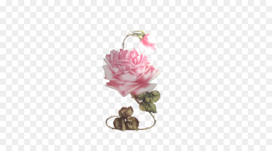 Rose Pourpre，Floraison PNG