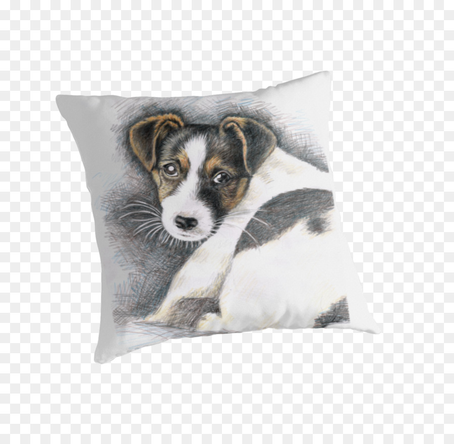 Terrier De Jack Russell，Terrier De Rat PNG