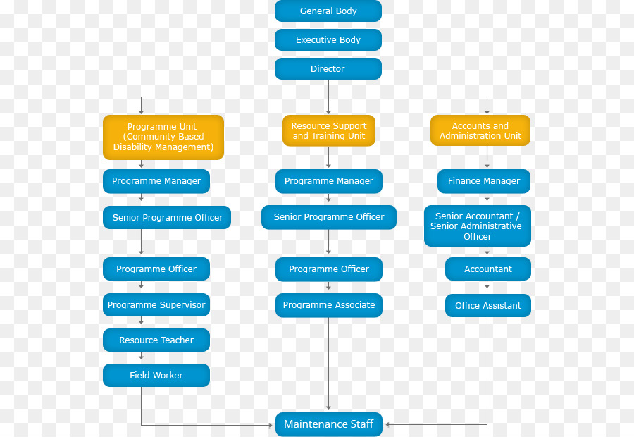 Organisation，Organigramme PNG