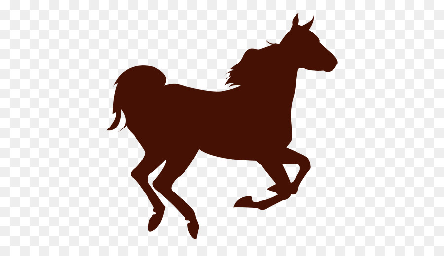 Cow Boy à Cheval，Cavalier PNG