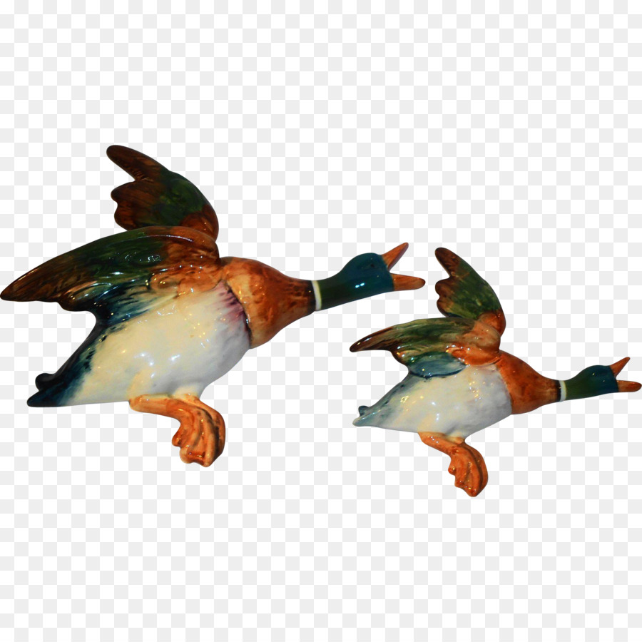 Mallard，Canard PNG