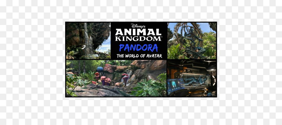 Pandora Le Monde D Avatar，Le Royaume Des Animaux De Disney PNG