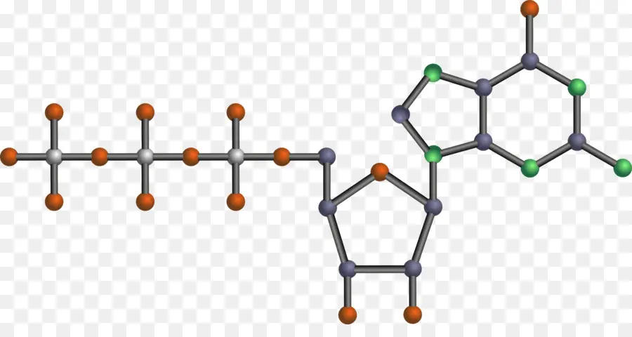 Structure Moléculaire，Chimie PNG