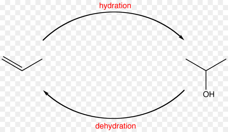 Cercle，Sourcil PNG