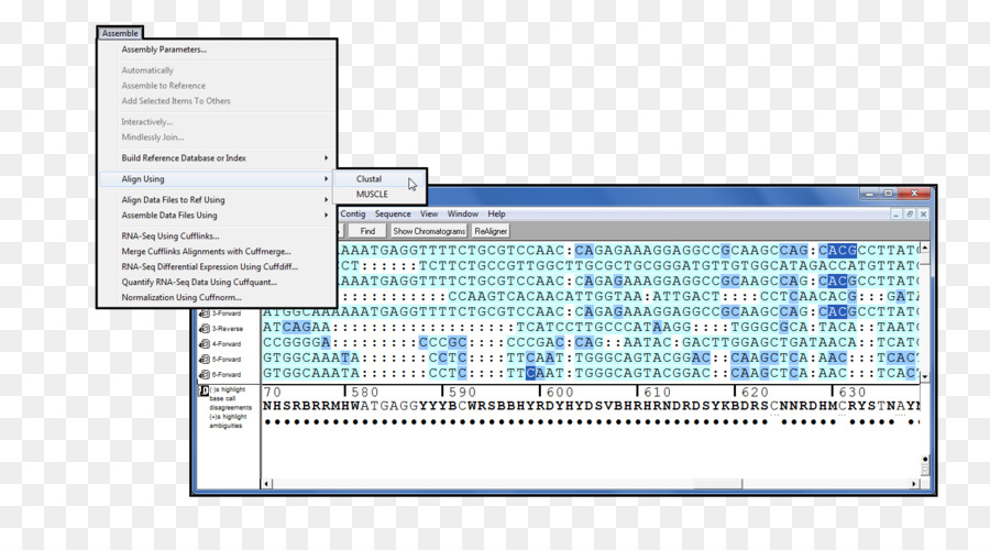 Programme D Ordinateur，Papier PNG