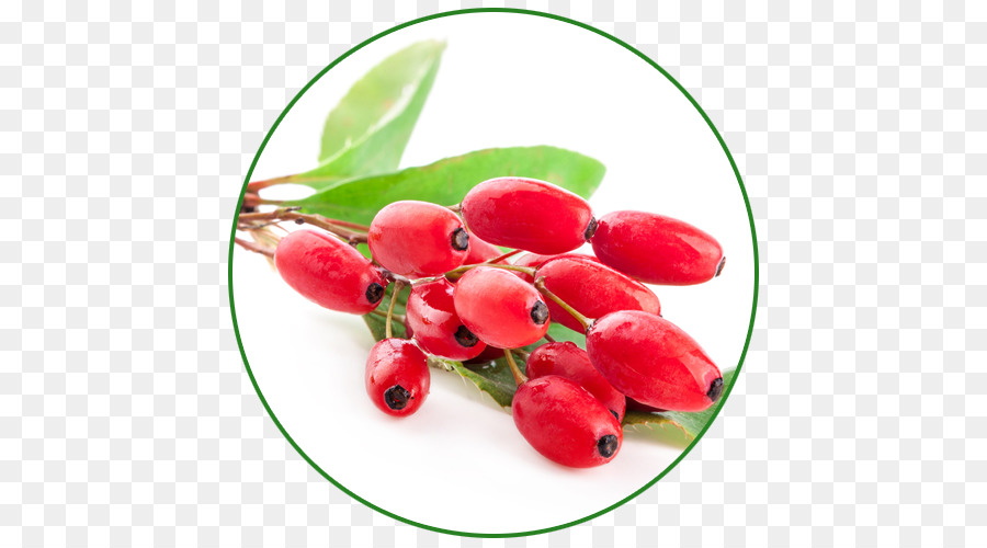 Fruits Rouges，Feuilles Vertes PNG