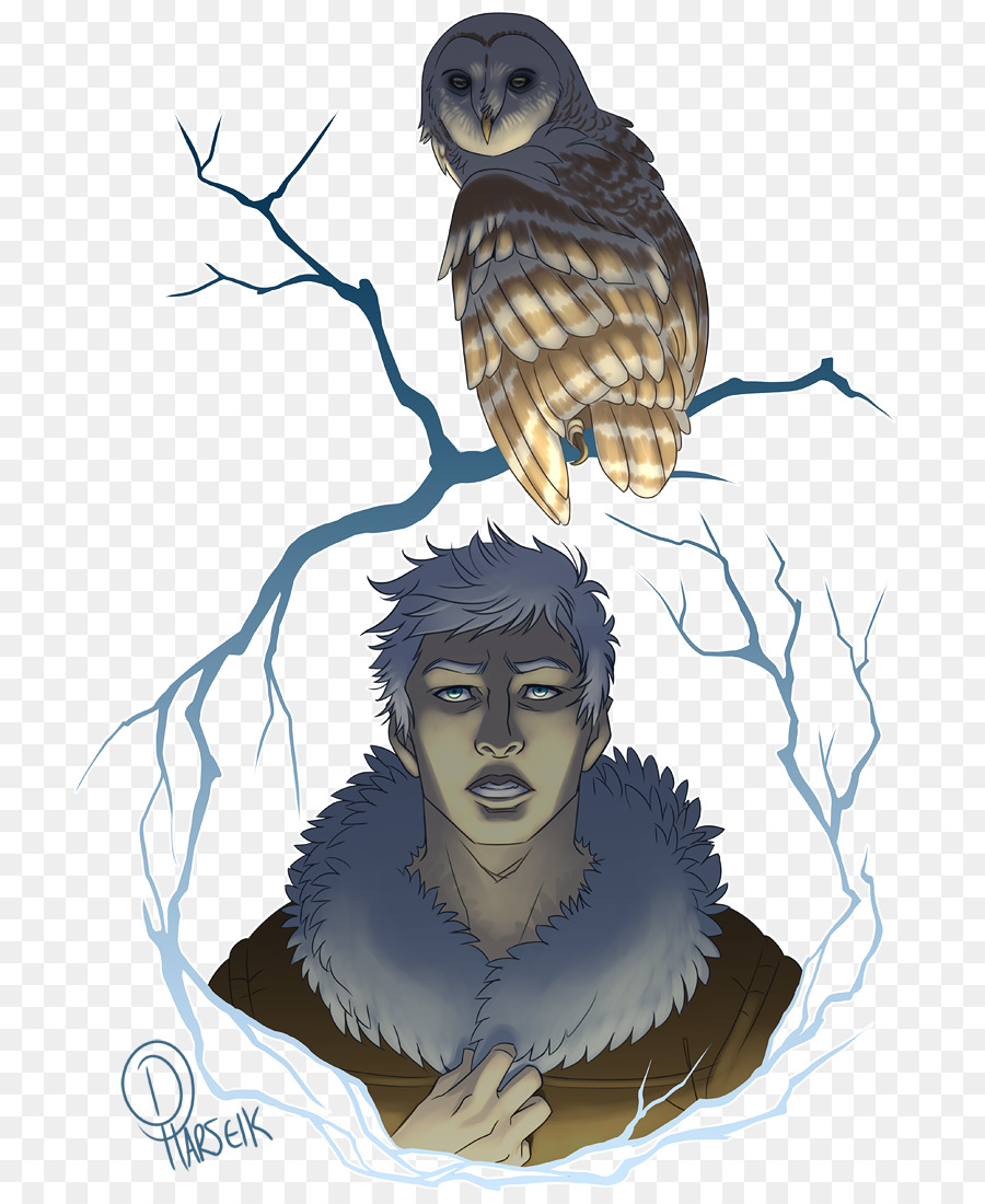 Hibou，Dessin Animé PNG