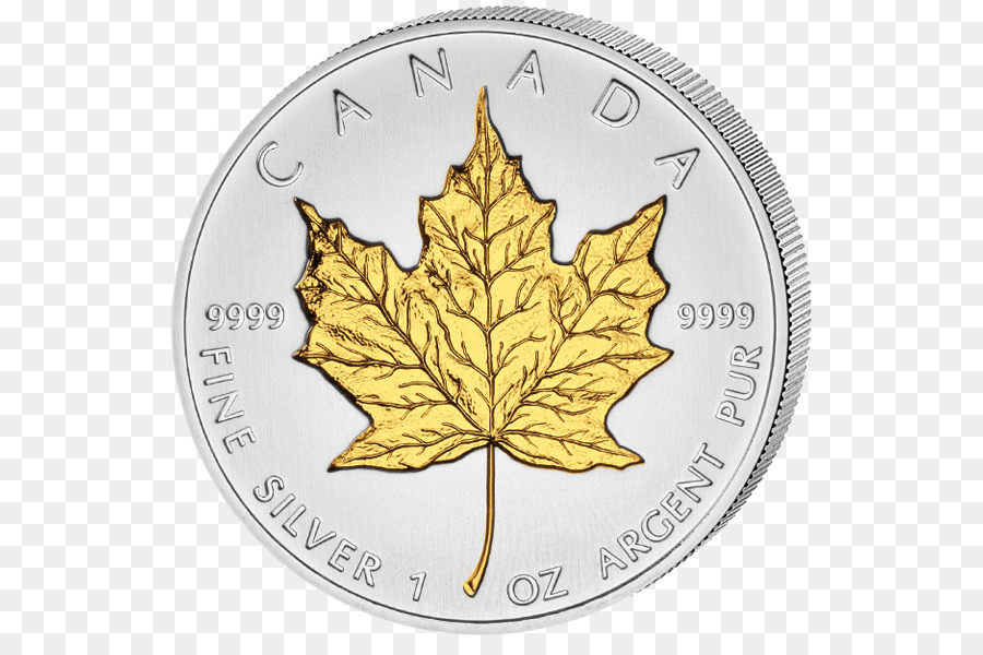 Pièce D'argent Canadienne，Devise PNG