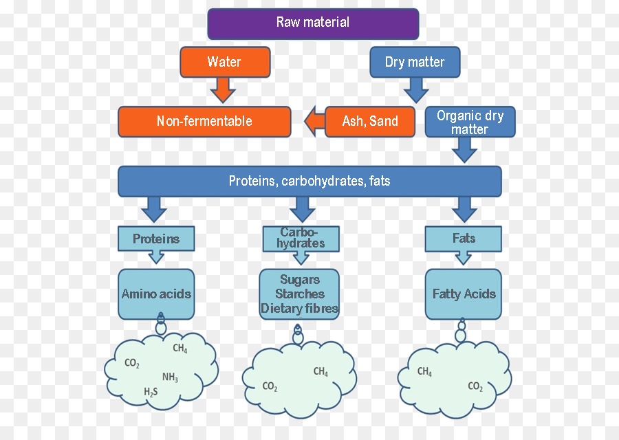 La Fermentation，Fermentation De L éthanol PNG