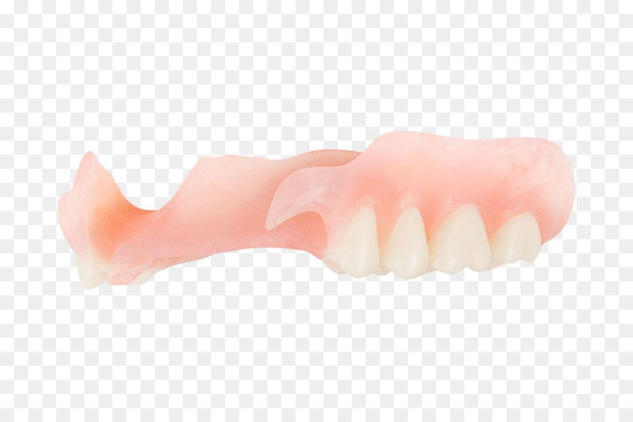 Dent，Dentiers PNG