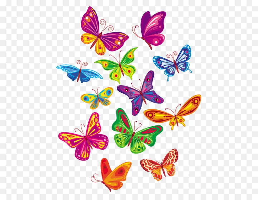 Papillons，Coloré PNG