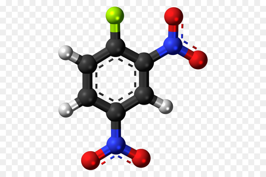 L Acide Benzoïque，Composé Chimique PNG