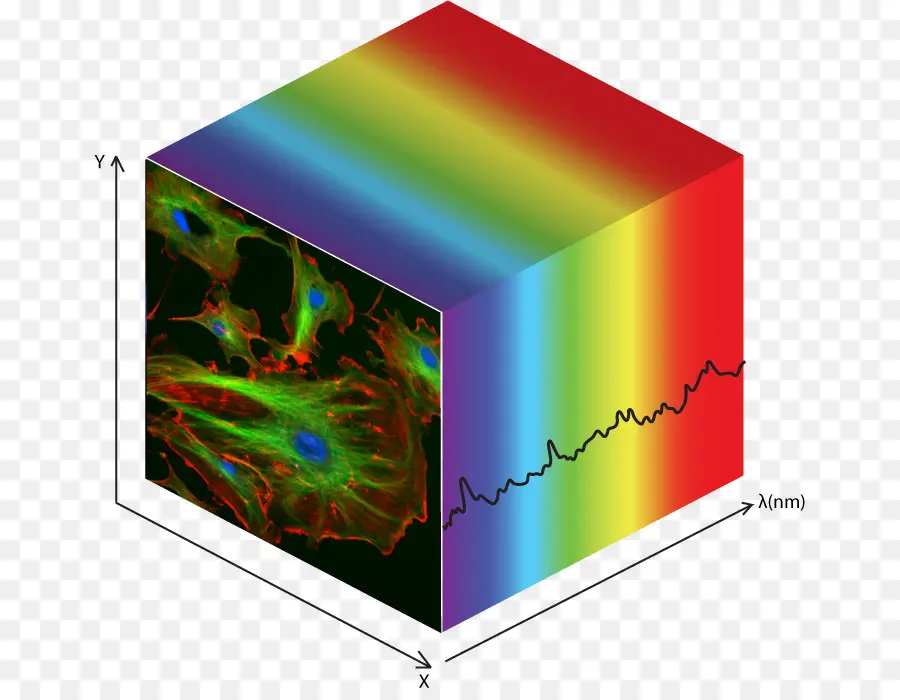 L Imagerie Hyperspectrale，Cube De Données PNG