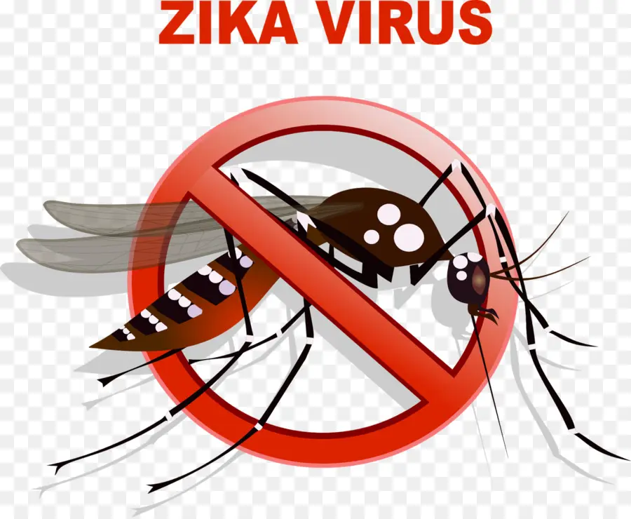 Moustique，Virus Zika PNG