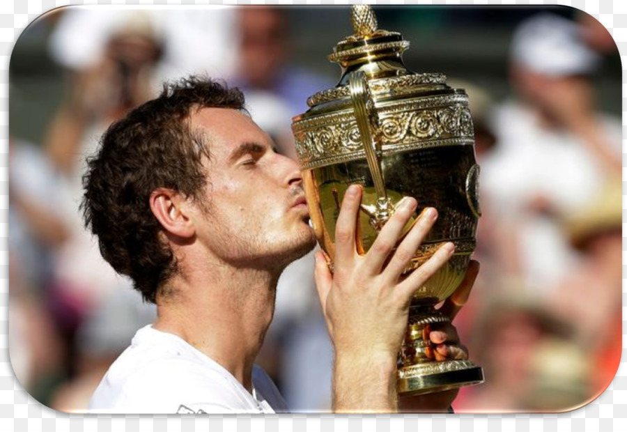 Andy Murray，2013 Championnats De Wimbledon PNG