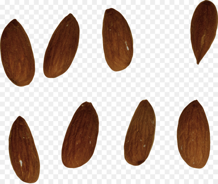 Amandes，Noix PNG