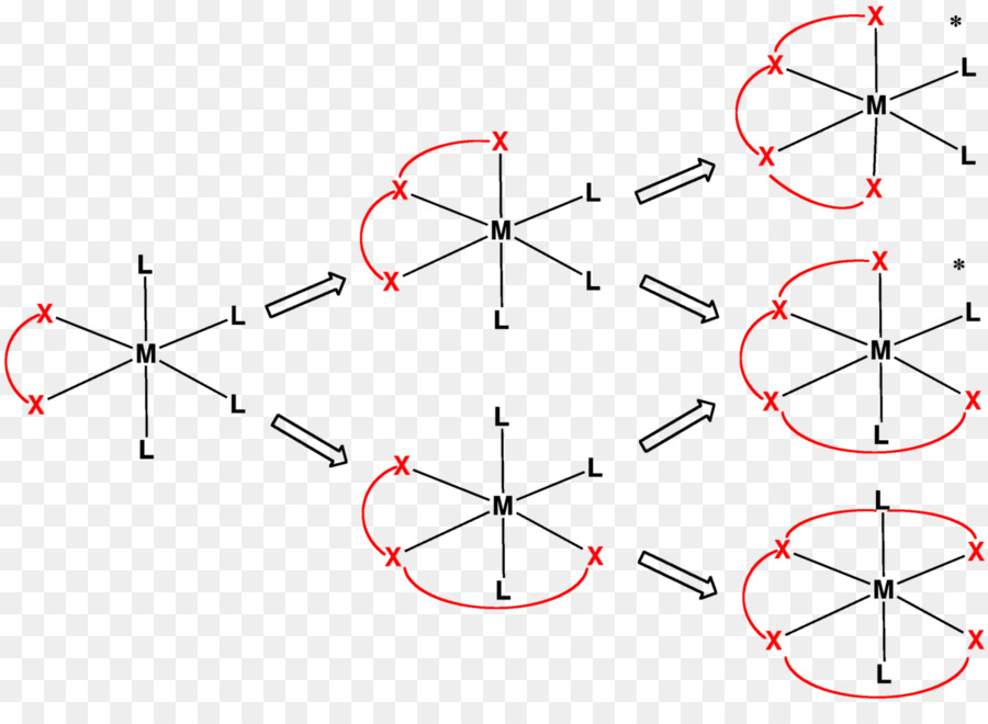 Denticité，Ligand PNG