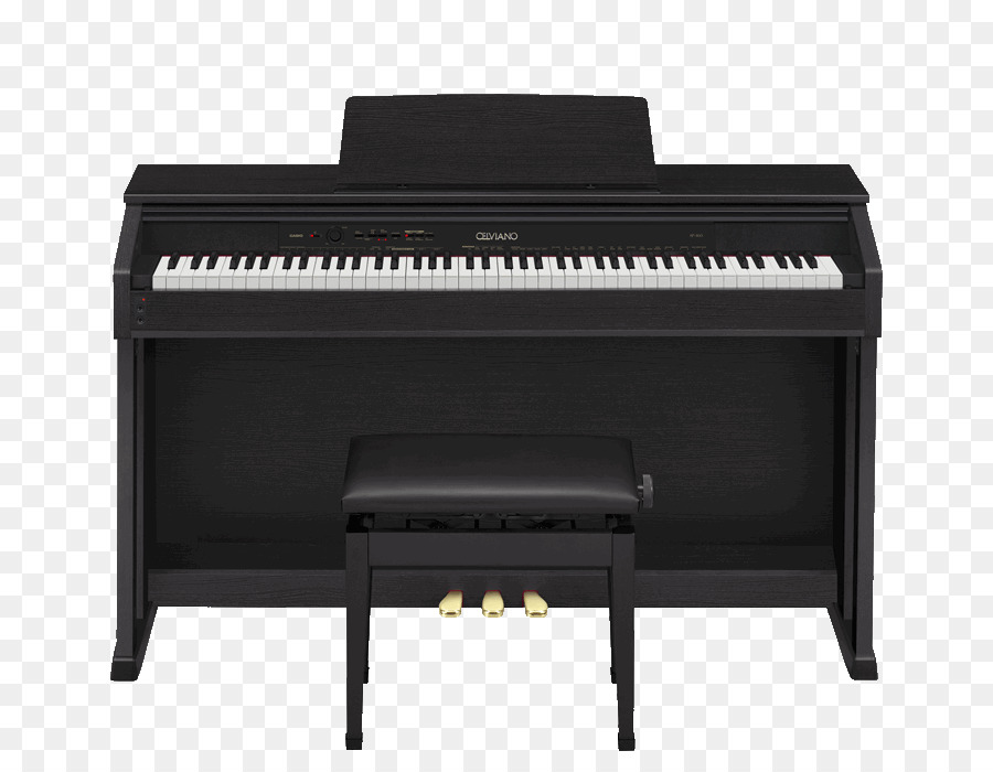 Piano Numérique，Casio PNG