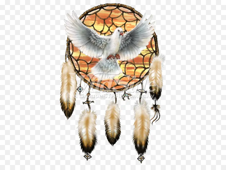 Dreamcatcher Avec Colombe，Plumes PNG