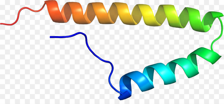 Hélice Protéique，Molécule PNG