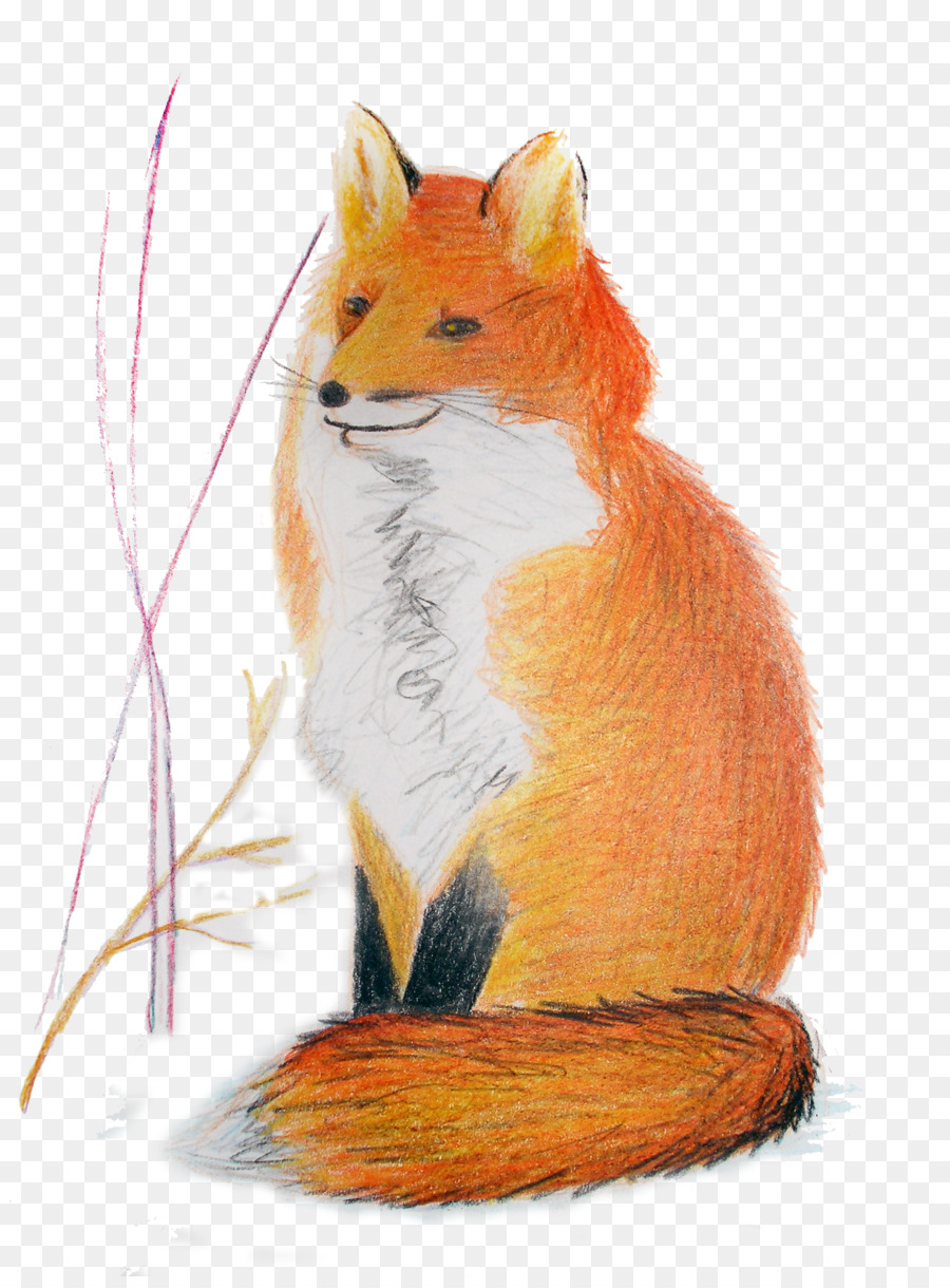 Renard Rouge，Souris PNG