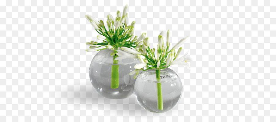 Vases En Verre，Fleurs PNG