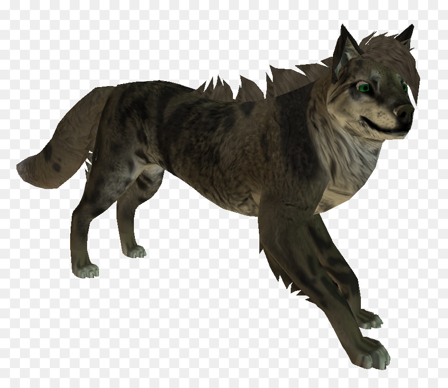 Loup Gris，Chat PNG