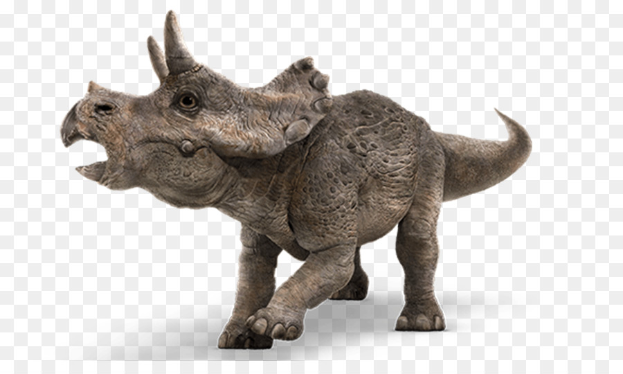 Tricératops，Préhistorique PNG