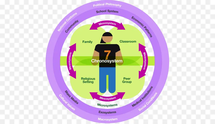 Diagramme Des Systèmes écologiques，Chronosystème PNG