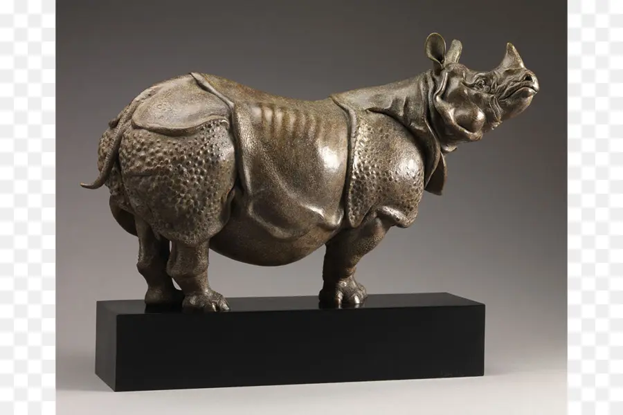 Rhinocéros，Sculpture PNG