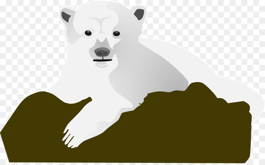 Ours Blanc，Ours PNG