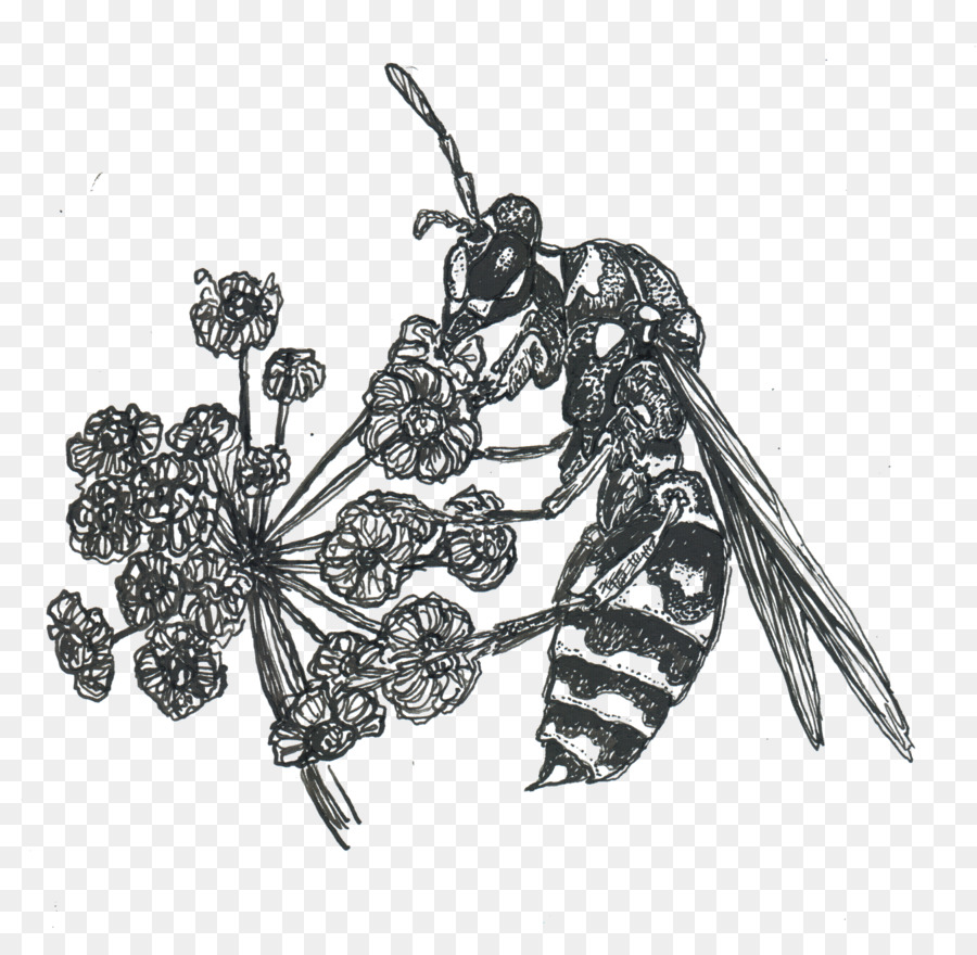 Les Insectes，Les Bijoux De Corps PNG