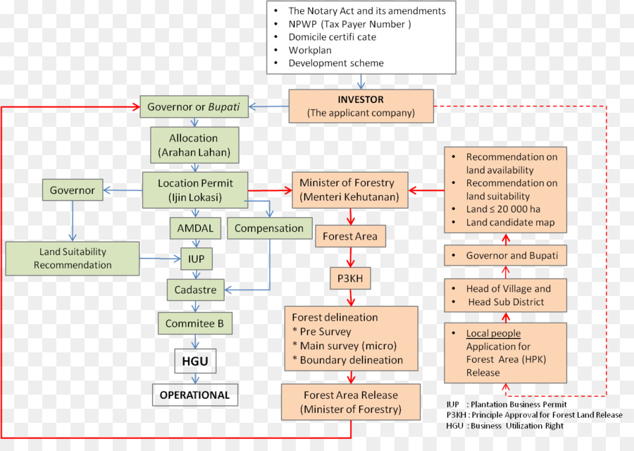 Organigramme，Processus PNG