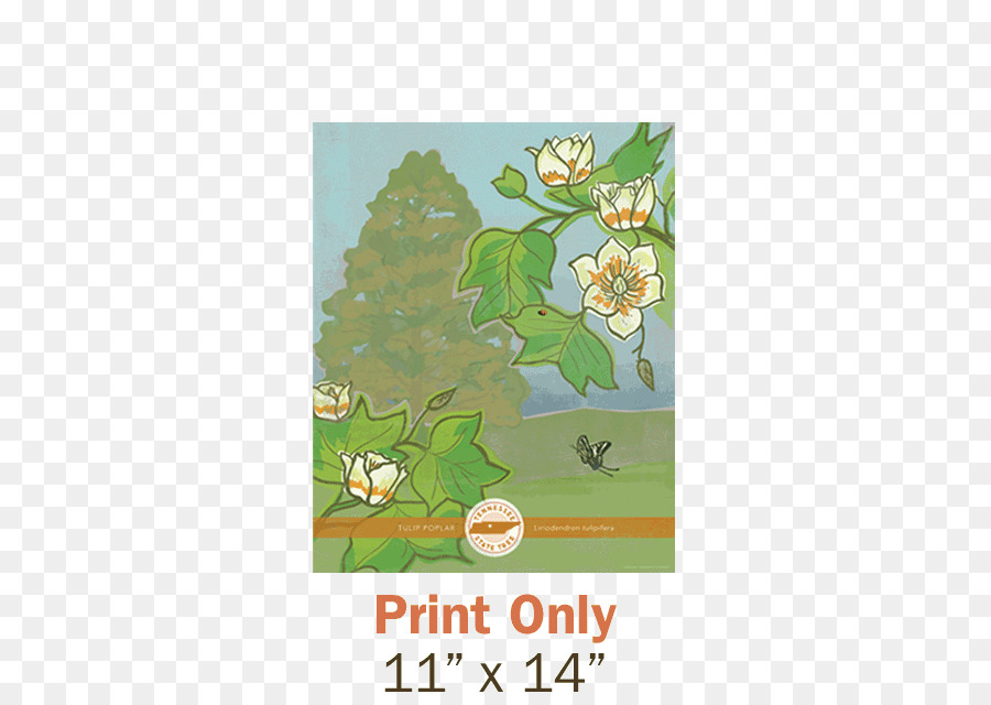 Design Floral，Cartes De Voeux PNG