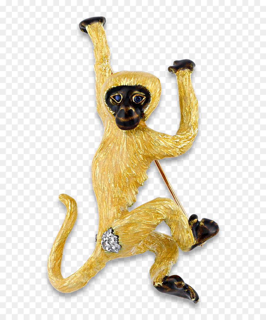 Broche Singe，Animal PNG