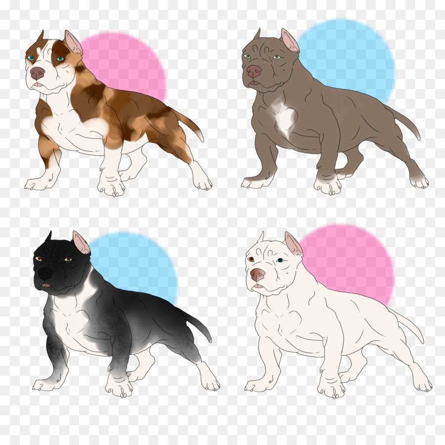 Boston Terrier，Chat PNG