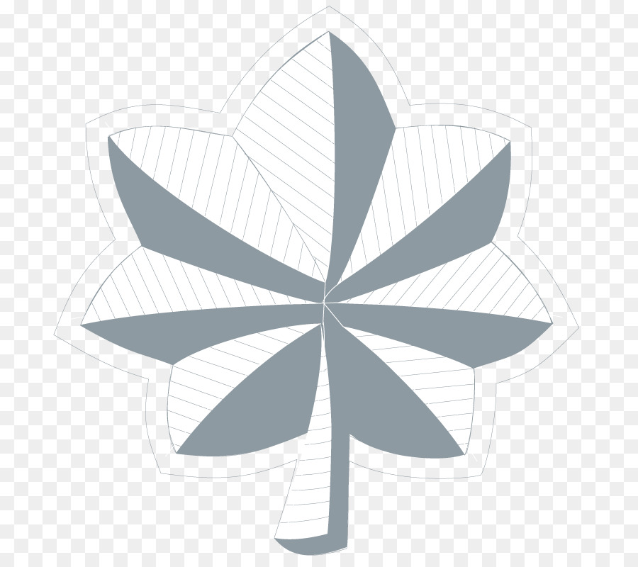 Feuille Géométrique，Nature PNG