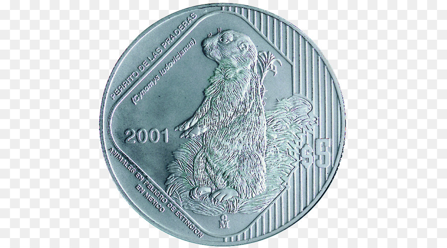 Pièce De Monnaie，Argent PNG