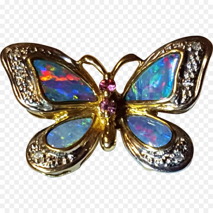 Broche Papillon，Coloré PNG